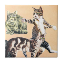 Katzen spielen fliese