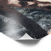 Katzen spielen fotodruck (Ecke)