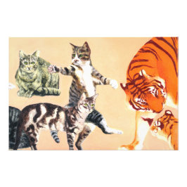 Katzen spielen fotodruck