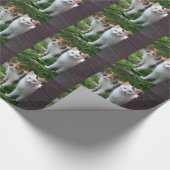 Katzen spielen geschenkpapier (Ecke)