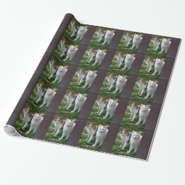 Katzen spielen geschenkpapier