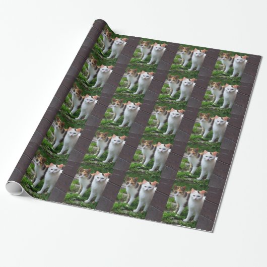 Katzen spielen geschenkpapier (Ungerollt)