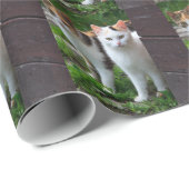 Katzen spielen geschenkpapier (Rolleneckpunkt)