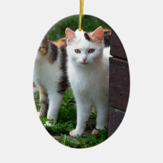 Katzen spielen keramik ornament (Vorne)