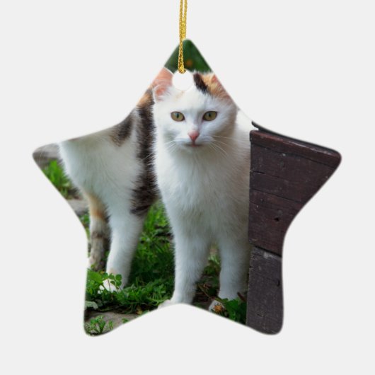 Katzen spielen keramik ornament (Vorne)