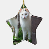 Katzen spielen keramik ornament (Links)