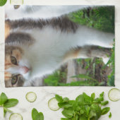 Katzen spielen küchentuch (Gefaltet)