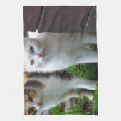 Katzen spielen küchentuch (Vertikal)