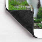 Katzen spielen mousepad (Ecke)
