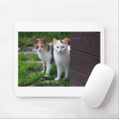 Katzen spielen mousepad (Mit Mouse)
