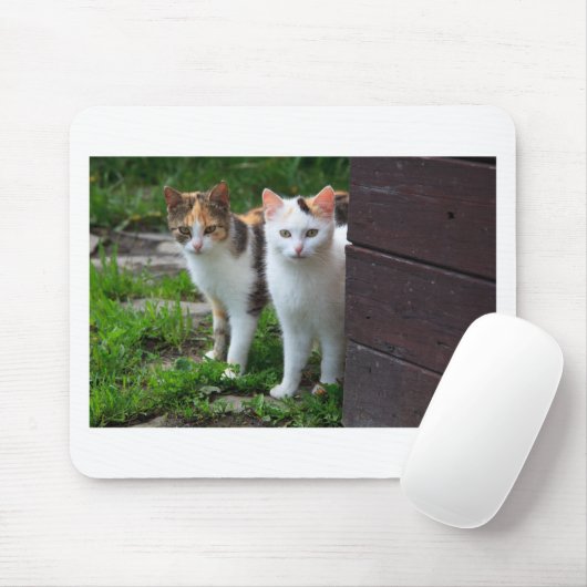 Katzen spielen mousepad (Mit Mouse)