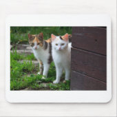 Katzen spielen mousepad (Vorne)