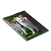 Katzen spielen notizblock (Rechte Seite)