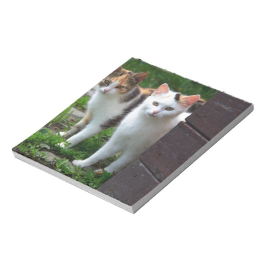Katzen spielen notizblock (Rotiert)