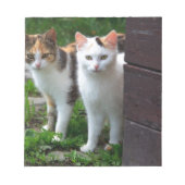 Katzen spielen notizblock (Vorderseite)