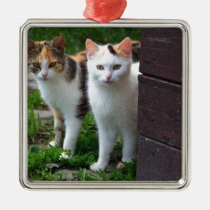 Katzen spielen ornament aus metall