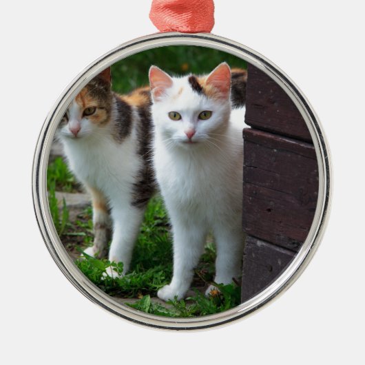 Katzen spielen ornament aus metall (Vorne)