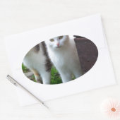Katzen spielen ovaler aufkleber (Umschlag)