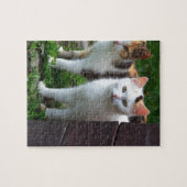 Katzen spielen puzzle (Horizontal)