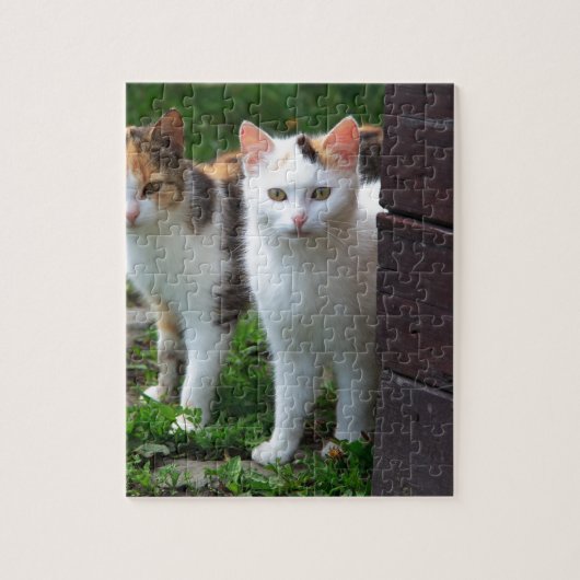 Katzen spielen puzzle (Vertikal)