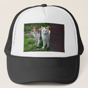 Katzen spielen truckerkappe