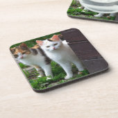 Katzen spielen untersetzer (Linke Seite)