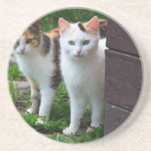 Katzen spielen untersetzer