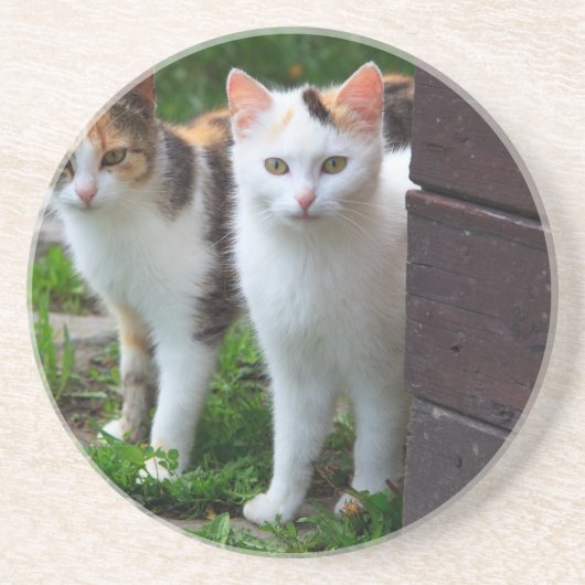 Katzen spielen untersetzer (Vorne)