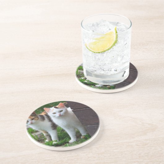 Katzen spielen untersetzer (Seite)