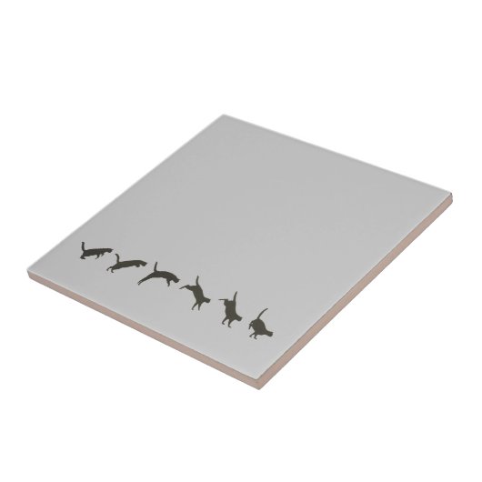 Katzen springen fliese (Seite)