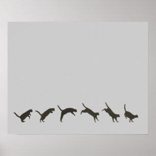 Katzen springen poster