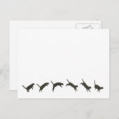 Katzen springen postkarte (Vorne/Hinten)