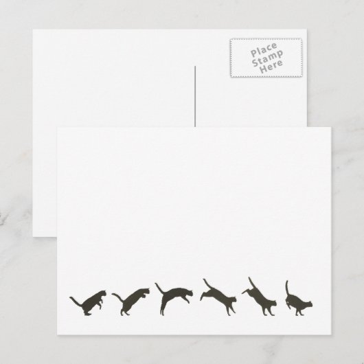 Katzen springen postkarte (Vorne/Hinten)