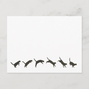 Katzen springen postkarte