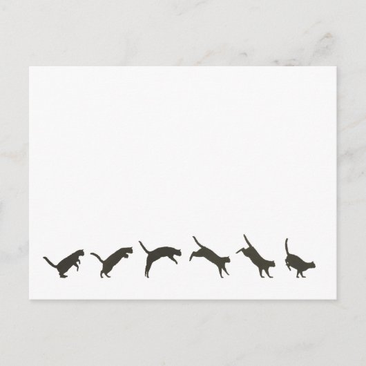 Katzen springen postkarte (Vorderseite)