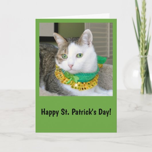 Katzen-St Patrick Tageskarte Karte (Vorderseite)