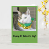 Katzen-St Patrick Tageskarte Karte (Gelbe Blume)
