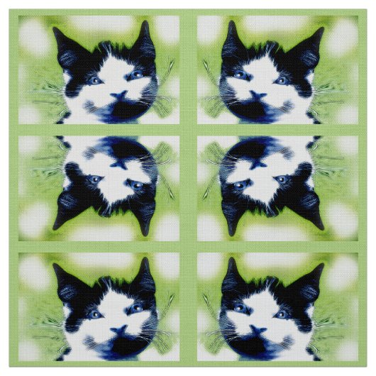 Katzen Stoff (Muster)