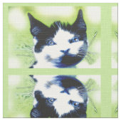 Katzen Stoff (Nahaufnahme)