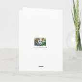 Katzen Sympathy Card, Engel Kitty, Cat Loss Karte (Rückseite)