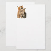 Katzen T - Shirt Briefpapier (Vorne/Hinten)