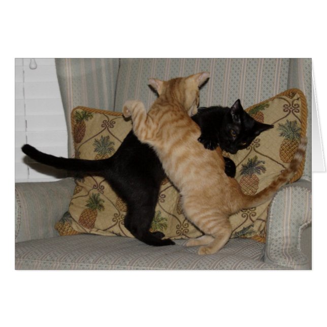 Katzen-Tanz (Vorderseite (Horizontal))