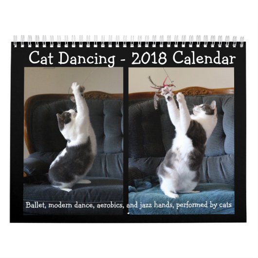 Katzen-Tanzen - Kalender 2018 (Titelbild)
