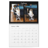 Katzen-Tanzen - Kalender 2018 (Jan 2026)