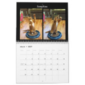 Katzen-Tanzen - Kalender 2018 (Mär 2027)