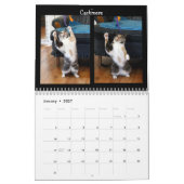 Katzen-Tanzen - Kalender 2018 (Jan 2027)