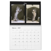 Katzen-Tanzen - Kalender 2018 (Feb 2027)