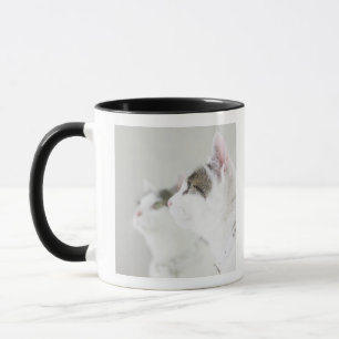 Katzen Tasse
