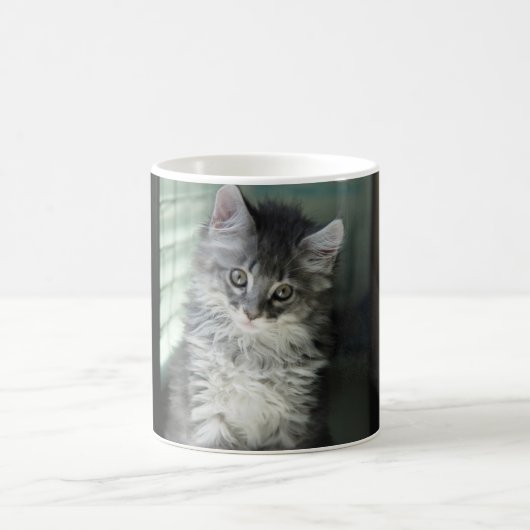Katzen-Tasse Kaffeetasse (Mittel)