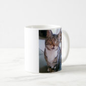 Katzen-Tasse Kaffeetasse (VorderseiteRechts)